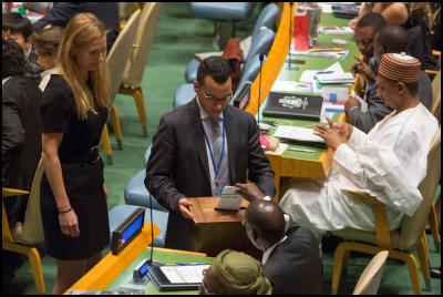 2014 UNHRC Vote (UN Photo/Evan Schneider)